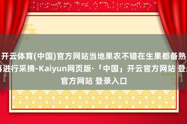 开云体育(中国)官方网站当地果农不错在生果都备熟练后再进行采摘-Kaiyun网页版·「中国」开云官方网站 登录入口